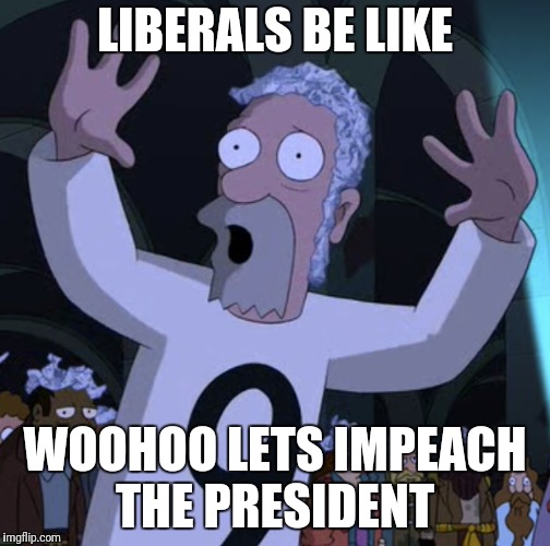 LIBERALS BE LIKE; WOOHOO LETS IMPEACH THE PRESIDENT | image tagged in futurama | made w/ Imgflip meme maker