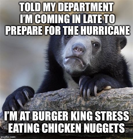 Confession Bear Meme | TOLD MY DEPARTMENT I’M COMING IN LATE TO PREPARE FOR THE HURRICANE; I’M AT BURGER KING STRESS EATING CHICKEN NUGGETS | image tagged in memes,confession bear | made w/ Imgflip meme maker