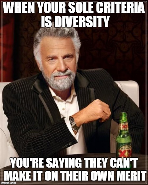 The Most Interesting Man In The World Meme | WHEN YOUR SOLE CRITERIA IS DIVERSITY; YOU'RE SAYING THEY CAN'T MAKE IT ON THEIR OWN MERIT | image tagged in memes,the most interesting man in the world | made w/ Imgflip meme maker