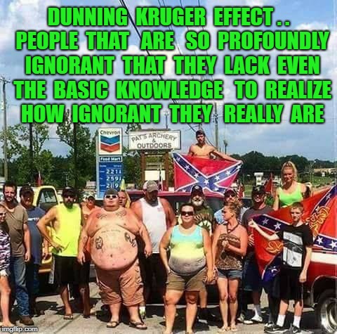 redneckamerica | DUNNING  KRUGER  EFFECT . .  PEOPLE  THAT   ARE   SO  PROFOUNDLY  IGNORANT  THAT  THEY  LACK  EVEN  THE  BASIC  KNOWLEDGE 
 TO  REALIZE  HOW  IGNORANT  THEY 
 REALLY  ARE | image tagged in redneckamerica | made w/ Imgflip meme maker