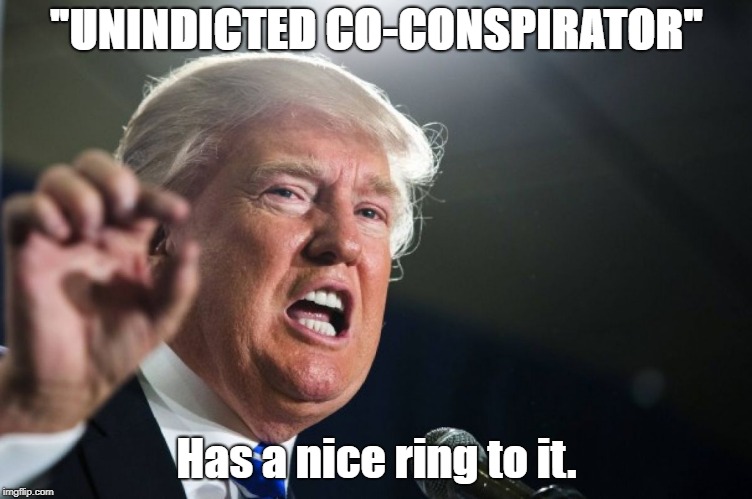 donald trump | "UNINDICTED CO-CONSPIRATOR"; Has a nice ring to it. | image tagged in donald trump | made w/ Imgflip meme maker
