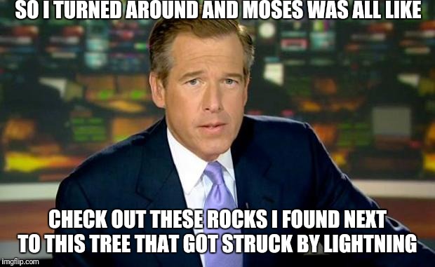 SO I TURNED AROUND AND MOSES WAS ALL LIKE; CHECK OUT THESE ROCKS I FOUND NEXT TO THIS TREE THAT GOT STRUCK BY LIGHTNING | image tagged in brian williams was there | made w/ Imgflip meme maker