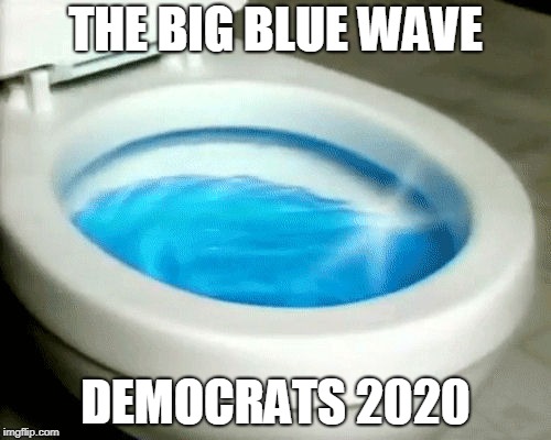 Blue Wave | THE BIG BLUE WAVE; DEMOCRATS 2020 | image tagged in blue wave | made w/ Imgflip meme maker