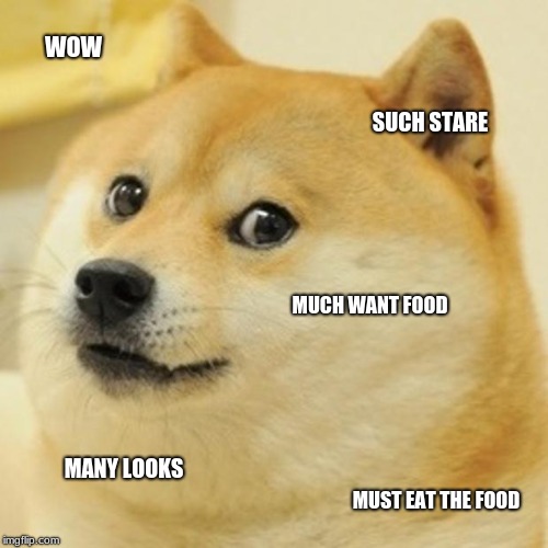the doge and food | WOW; SUCH STARE; MUCH WANT FOOD; MANY LOOKS; MUST EAT THE FOOD | image tagged in memes,doge,food,stare | made w/ Imgflip meme maker