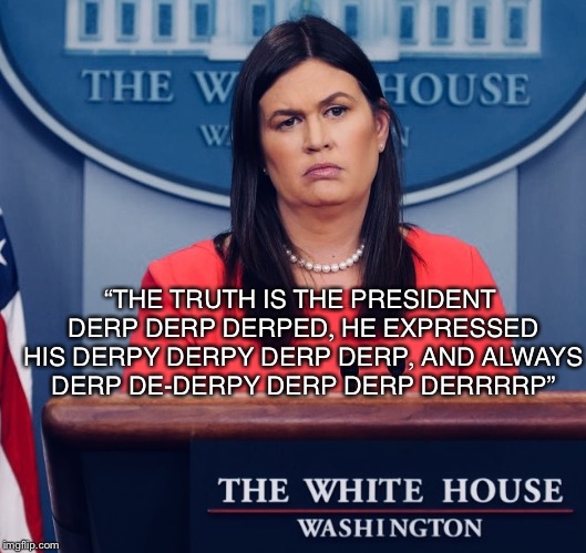 “THE TRUTH IS THE PRESIDENT DERP DERP DERPED, HE EXPRESSED HIS DERPY DERPY DERP DERP, AND ALWAYS DERP DE-DERPY DERP DERP DERRRRP” | image tagged in derp | made w/ Imgflip meme maker