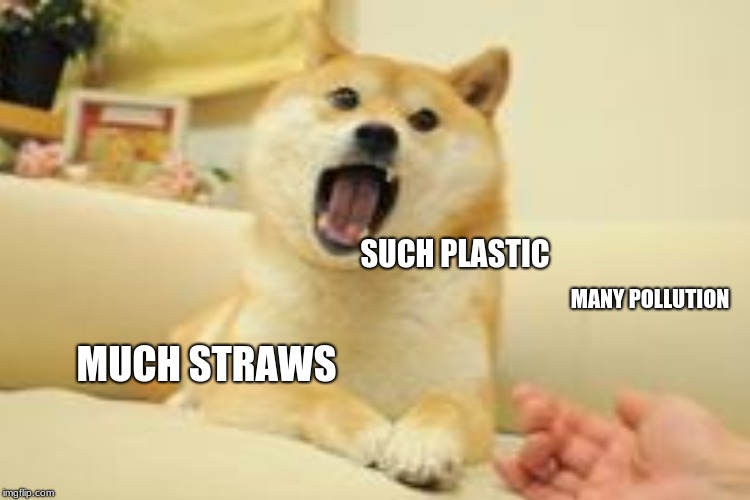 SUCH PLASTIC; MANY POLLUTION; MUCH STRAWS | image tagged in angry doge,pollution,straws,plastic | made w/ Imgflip meme maker