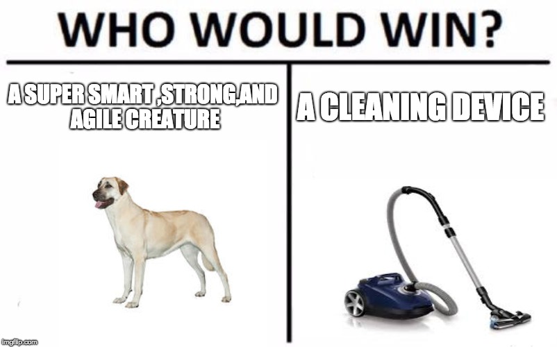 Who Would Win? | A SUPER SMART ,STRONG,AND AGILE CREATURE; A CLEANING DEVICE | image tagged in memes,who would win | made w/ Imgflip meme maker