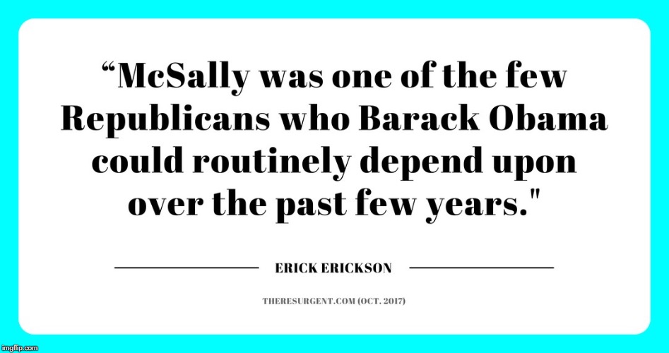 RINO Martha McSally, Barak Obama's Favorite Republican  | image tagged in martha mcsally,barak obama,rino,arizona senate,fake republicans | made w/ Imgflip meme maker