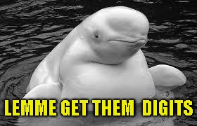 Whale | LEMME GET THEM  DIGITS | image tagged in whale | made w/ Imgflip meme maker