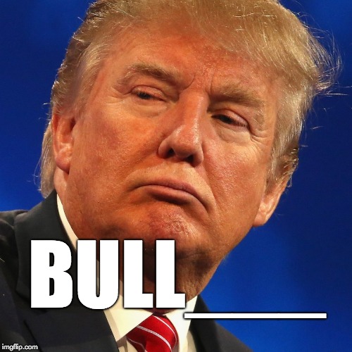 Bull____ | BULL___ | image tagged in trump,donald trump,bullshit,bull,fraud | made w/ Imgflip meme maker