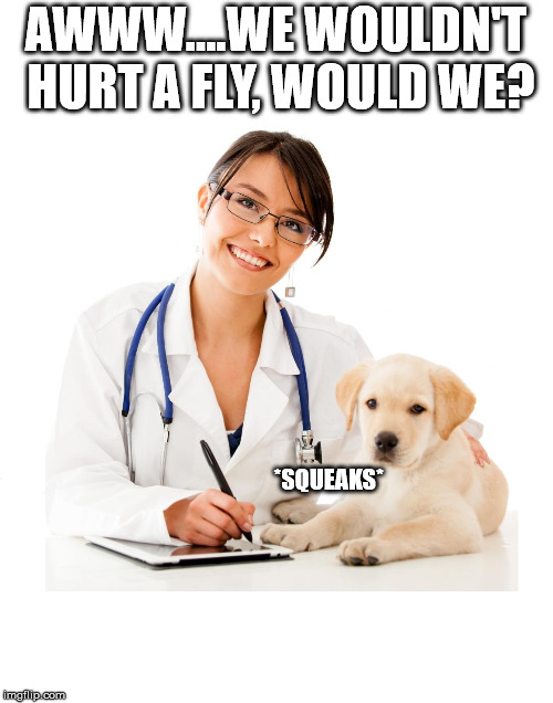 veterinarian WITH a puppy | AWWW....WE WOULDN'T HURT A FLY, WOULD WE? *SQUEAKS* | image tagged in veterinarian with a puppy | made w/ Imgflip meme maker