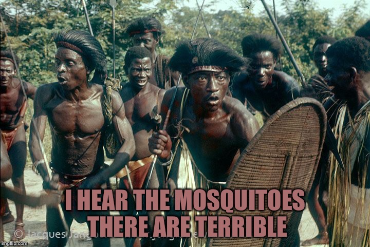 Congo Tribe | I HEAR THE MOSQUITOES THERE ARE TERRIBLE | image tagged in congo tribe | made w/ Imgflip meme maker
