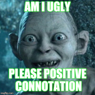 Gollum Meme | AM I UGLY; PLEASE POSITIVE CONNOTATION | image tagged in memes,gollum | made w/ Imgflip meme maker