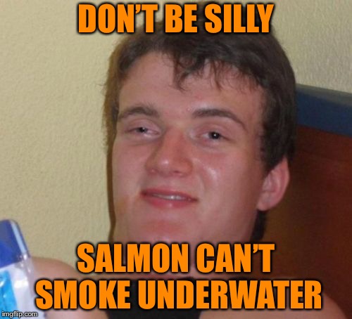 10 Guy Meme | DON’T BE SILLY; SALMON CAN’T SMOKE UNDERWATER | image tagged in memes,10 guy | made w/ Imgflip meme maker