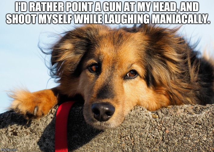 I'd rather Doggo | I'D RATHER POINT A GUN AT MY HEAD, AND SHOOT MYSELF WHILE LAUGHING MANIACALLY. | image tagged in i'd rather doggo | made w/ Imgflip meme maker