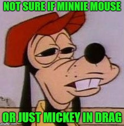 Futurama Goofy | NOT SURE IF MINNIE MOUSE; OR JUST MICKEY IN DRAG | image tagged in funny memes,goofy,mickey mouse,stoned goofy | made w/ Imgflip meme maker
