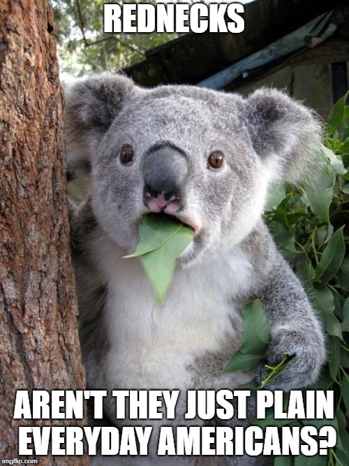 Surprised Koala Meme | REDNECKS AREN'T THEY JUST PLAIN EVERYDAY AMERICANS? | image tagged in memes,surprised koala | made w/ Imgflip meme maker
