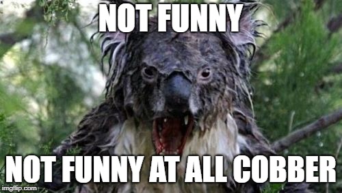 Angry Koala Meme | NOT FUNNY NOT FUNNY AT ALL COBBER | image tagged in memes,angry koala | made w/ Imgflip meme maker