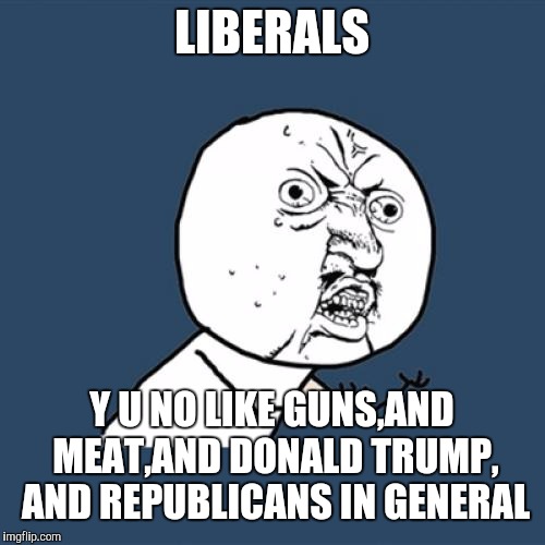 Y U No | LIBERALS; Y U NO LIKE GUNS,AND MEAT,AND DONALD TRUMP, AND REPUBLICANS IN GENERAL | image tagged in memes,y u no | made w/ Imgflip meme maker