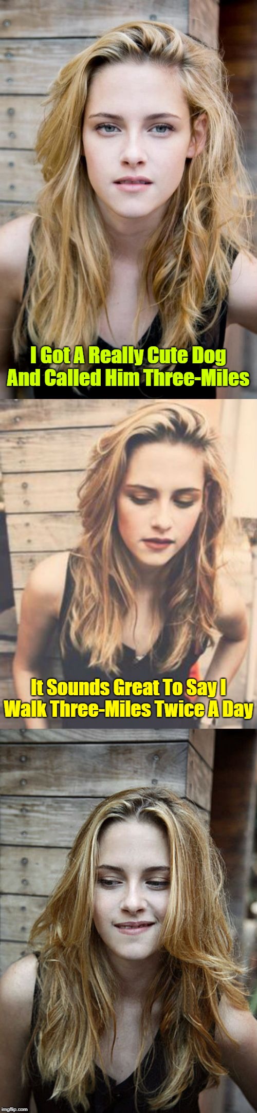 What can I say, I hate exercising  | I Got A Really Cute Dog And Called Him Three-Miles; It Sounds Great To Say I Walk Three-Miles Twice A Day | image tagged in bad pun kristen stewart 2,memes,exercise,cute dog,easy way to exercise | made w/ Imgflip meme maker