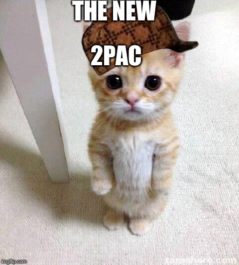Cute Cat Meme | THE NEW; 2PAC | image tagged in memes,cute cat,scumbag | made w/ Imgflip meme maker