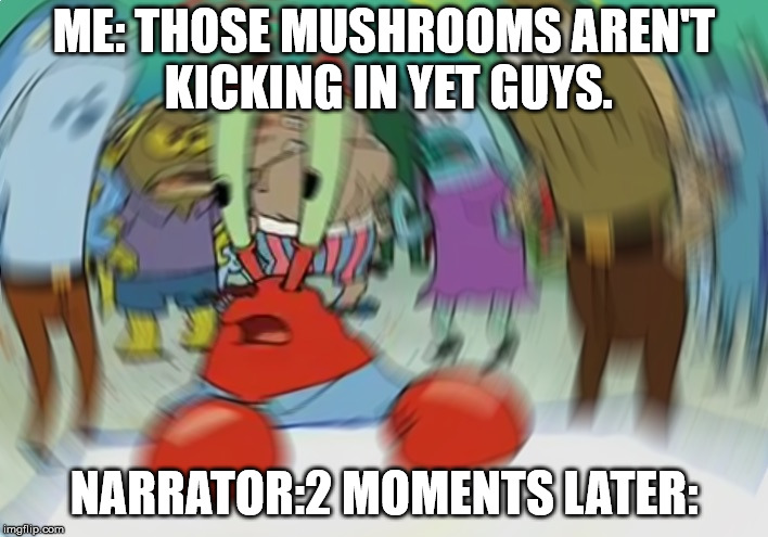 Mr Krabs Blur Meme Meme | ME: THOSE MUSHROOMS AREN'T KICKING IN YET GUYS. NARRATOR:2 MOMENTS LATER: | image tagged in memes,mr krabs blur meme | made w/ Imgflip meme maker