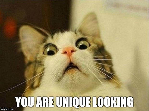 Scared Cat Meme | YOU ARE UNIQUE LOOKING | image tagged in memes,scared cat | made w/ Imgflip meme maker
