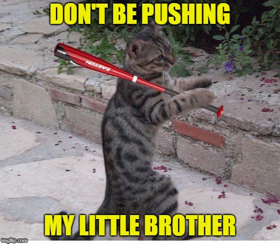 DON'T BE PUSHING MY LITTLE BROTHER | made w/ Imgflip meme maker