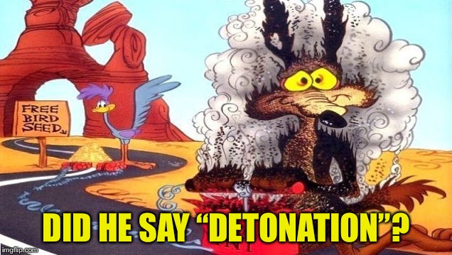 wile e coyote | DID HE SAY “DETONATION”? | image tagged in wile e coyote | made w/ Imgflip meme maker