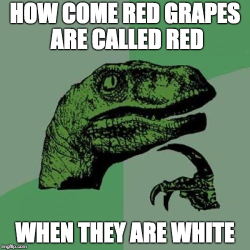 Philosoraptor | HOW COME RED GRAPES ARE CALLED RED; WHEN THEY ARE WHITE | image tagged in memes,philosoraptor | made w/ Imgflip meme maker
