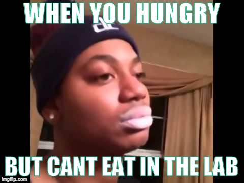 WHEN YOU HUNGRY; BUT CANT EAT IN THE LAB | image tagged in funny memes | made w/ Imgflip meme maker