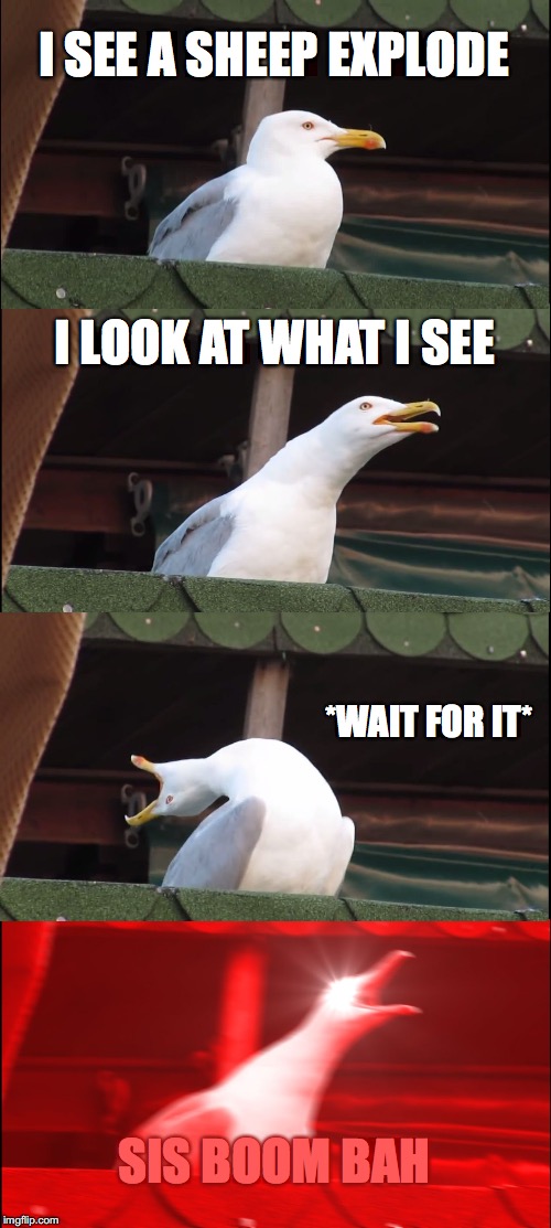 Inhaling Seagull Meme | I SEE A SHEEP EXPLODE I LOOK AT WHAT I SEE *WAIT FOR IT* SIS BOOM BAH | image tagged in memes,inhaling seagull | made w/ Imgflip meme maker
