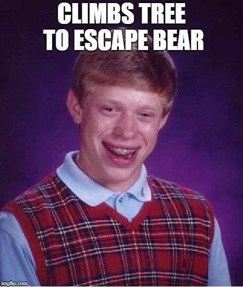 Bad Luck Brian Meme | CLIMBS TREE TO ESCAPE BEAR | image tagged in memes,bad luck brian | made w/ Imgflip meme maker