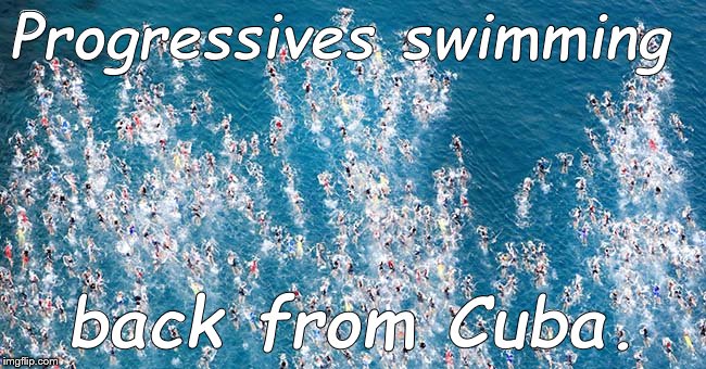 Swimmers in flight | Progressives swimming back from Cuba. | image tagged in swimmers in flight | made w/ Imgflip meme maker