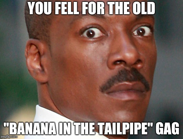 Eddie Murphy Uh Oh | YOU FELL FOR THE OLD "BANANA IN THE TAILPIPE" GAG | image tagged in eddie murphy uh oh | made w/ Imgflip meme maker