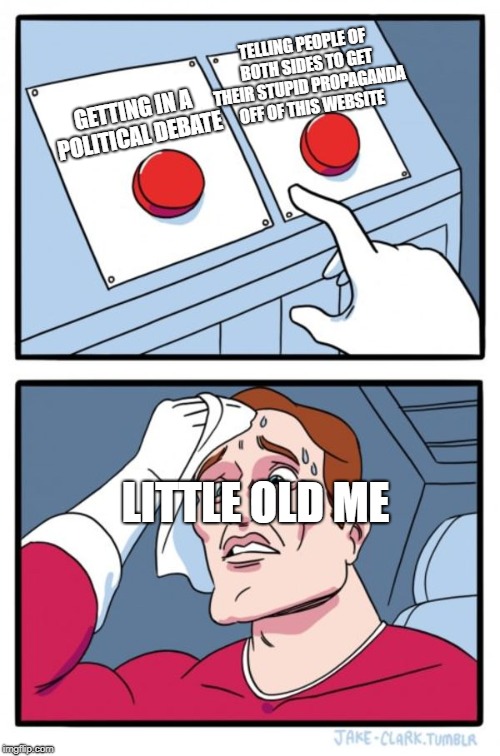 Two Buttons Meme | GETTING IN A POLITICAL DEBATE TELLING PEOPLE OF BOTH SIDES TO GET THEIR STUPID PROPAGANDA OFF OF THIS WEBSITE LITTLE OLD ME | image tagged in memes,two buttons | made w/ Imgflip meme maker