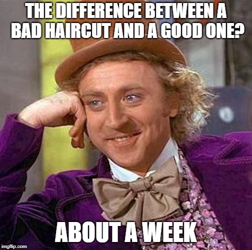Creepy Condescending Wonka Meme | THE DIFFERENCE BETWEEN A BAD HAIRCUT AND A GOOD ONE? ABOUT A WEEK | image tagged in memes,creepy condescending wonka | made w/ Imgflip meme maker