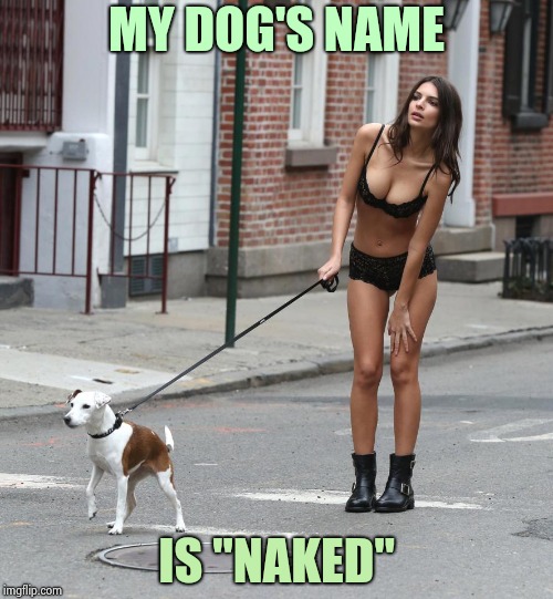 Walking the Dog | MY DOG'S NAME IS "NAKED" | image tagged in walking the dog | made w/ Imgflip meme maker