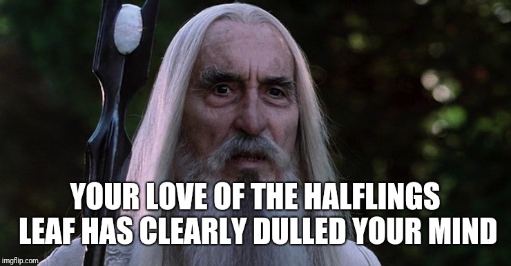 YOUR LOVE OF THE HALFLINGS LEAF HAS CLEARLY DULLED YOUR MIND | made w/ Imgflip meme maker