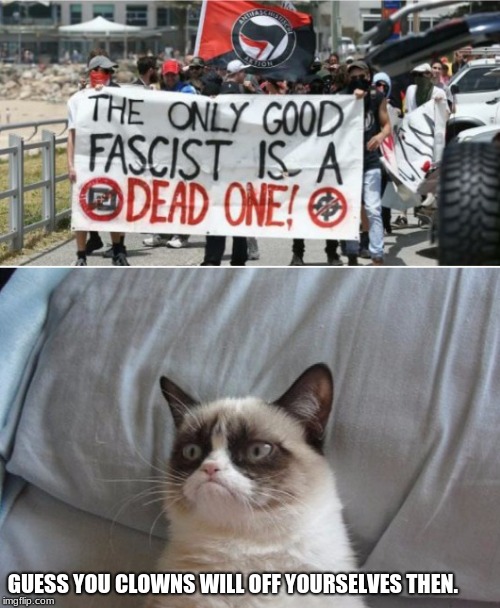 Grumpy cat vs antifa  | GUESS YOU CLOWNS WILL OFF YOURSELVES THEN. | image tagged in grumpy cat vs antifa | made w/ Imgflip meme maker