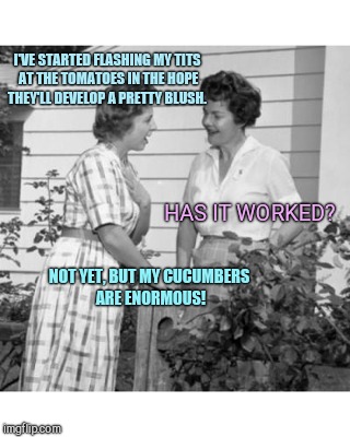 I'VE STARTED FLASHING MY TITS AT THE TOMATOES IN THE HOPE THEY'LL DEVELOP A PRETTY BLUSH. HAS IT WORKED? NOT YET, BUT MY CUCUMBERS ARE ENORMOUS! | image tagged in gardening tip,humor | made w/ Imgflip meme maker