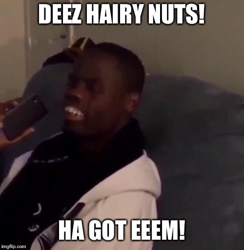 Deez Nutz | DEEZ HAIRY NUTS! HA GOT EEEM! | image tagged in deez nutz | made w/ Imgflip meme maker