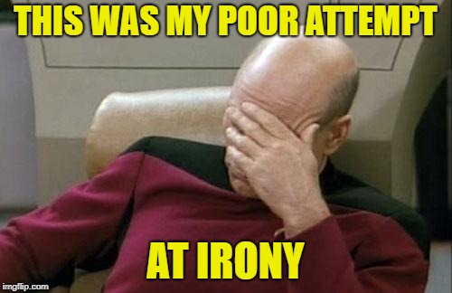 Captain Picard Facepalm Meme | THIS WAS MY POOR ATTEMPT AT IRONY | image tagged in memes,captain picard facepalm | made w/ Imgflip meme maker