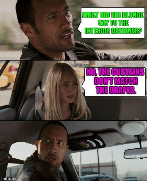 The Rock Driving Meme | WHAT DID THE BLONDE SAY TO THE INTERIOR DESIGNER? NO, THE CURTAINS DON'T MATCH THE DRAPES. | image tagged in memes,the rock driving | made w/ Imgflip meme maker