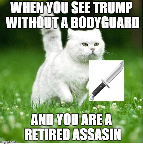 WHEN YOU SEE TRUMP WITHOUT A BODYGUARD; AND YOU ARE A RETIRED ASSASIN | image tagged in anti trump,funny because it's true | made w/ Imgflip meme maker