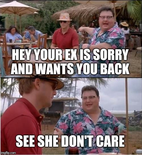 See Nobody Cares Meme | HEY YOUR EX IS SORRY AND WANTS YOU BACK; SEE SHE DON'T CARE | image tagged in memes,see nobody cares | made w/ Imgflip meme maker