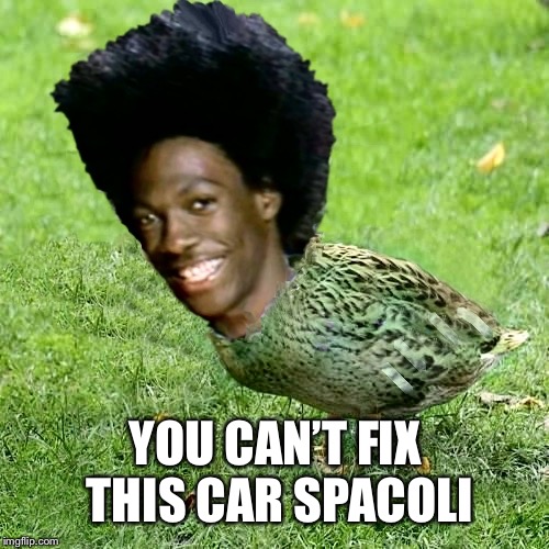 DuckWheat | YOU CAN’T FIX THIS CAR SPACOLI | image tagged in duckwheat | made w/ Imgflip meme maker
