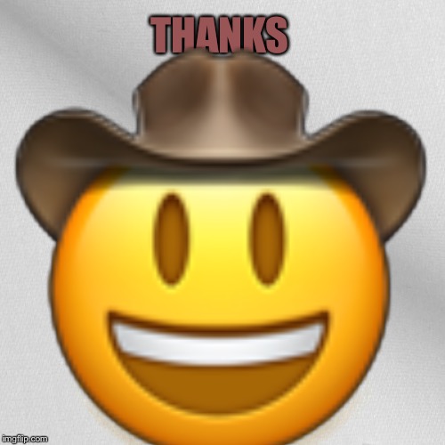 Blank | THANKS  | image tagged in blank | made w/ Imgflip meme maker