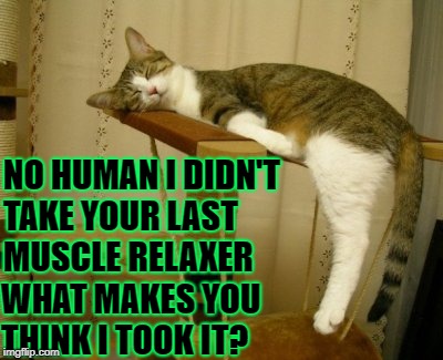 MUSCLE RELAXER | NO HUMAN I DIDN'T TAKE YOUR LAST MUSCLE RELAXER; WHAT MAKES YOU THINK I TOOK IT? | image tagged in muscle relaxer | made w/ Imgflip meme maker