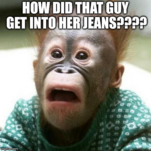 Shocked Monkey | HOW DID THAT GUY GET INTO HER JEANS???? | image tagged in shocked monkey | made w/ Imgflip meme maker